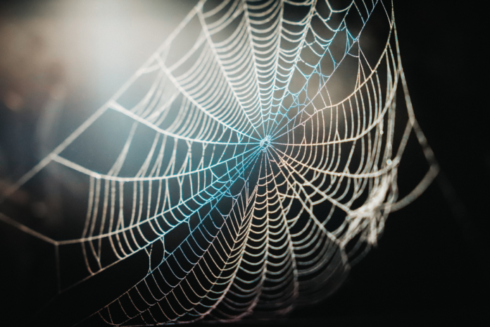 From Fiction to Reality: Scientists Create Spider-Man's Web-Slinging Technology